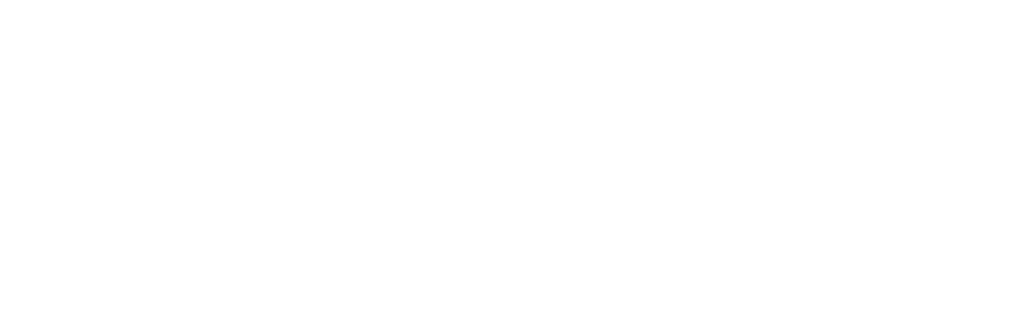 eco° Logo White